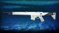 Neptune Guardian (Image via valorantstrike)